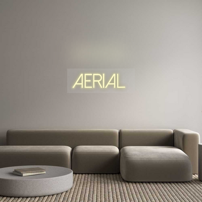 Custom Neon: Aerial