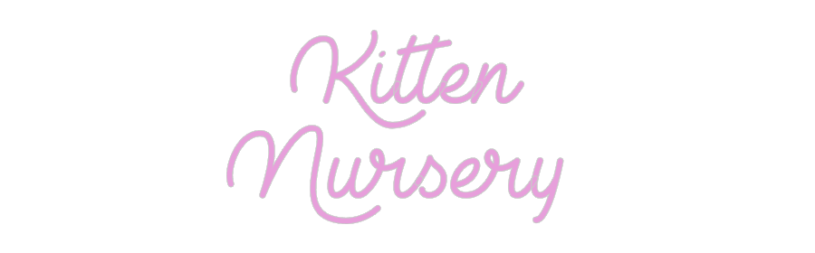 Custom Neon: Kitten
Nurse...