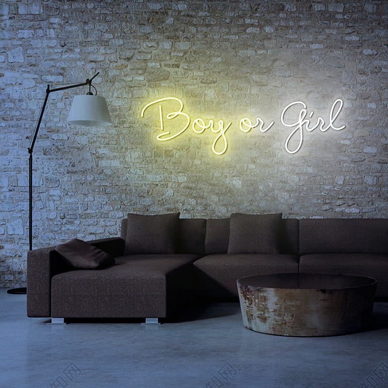 Boy or Girl Neon Sign