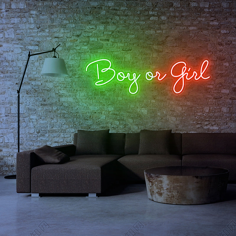 Boy or Girl Neon Sign