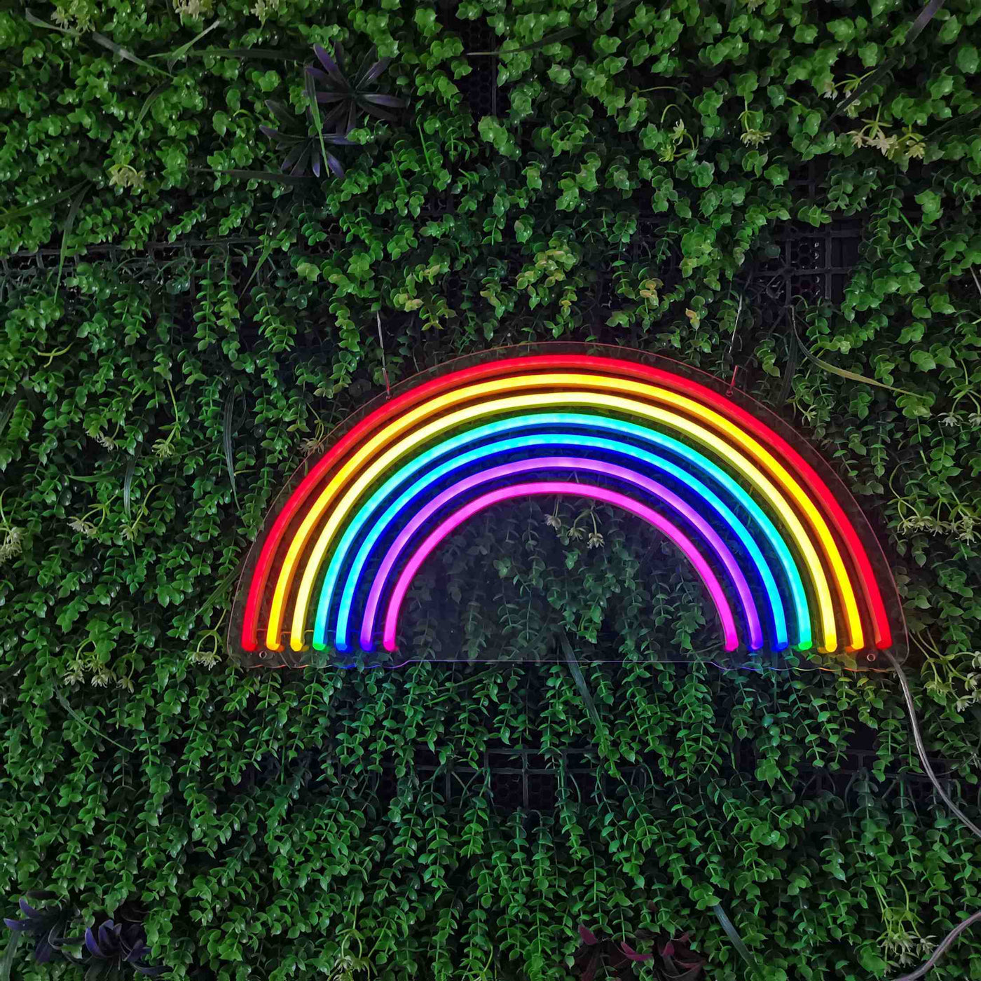 Rainbow- LED Neon Sign