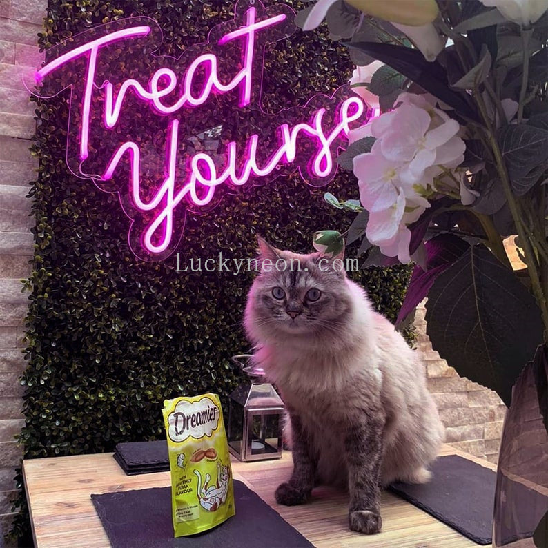 Treat Yourself - LED Neon Sign 4 Versions