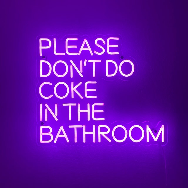 Please Don't Do Coke In The Bathroom- LED Neon Sign